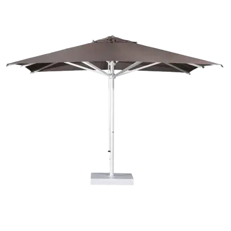 Verona Starwhite